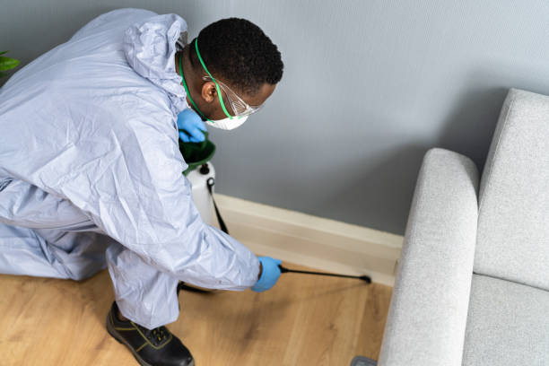 Best Fumigation Services  in Watertown, SD